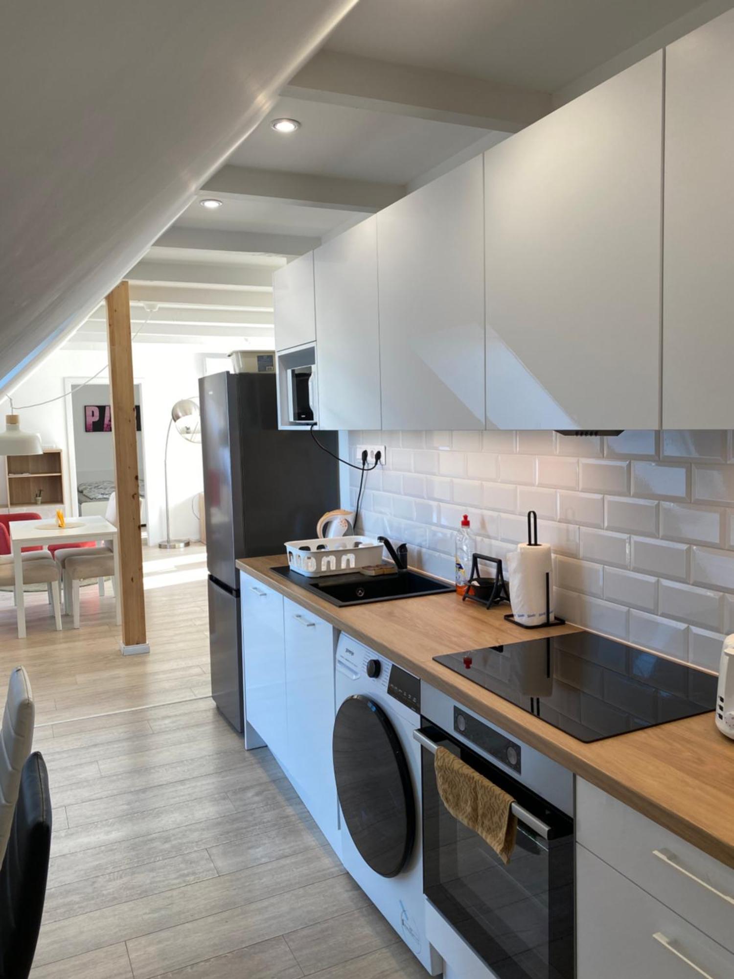 R77 Apartment Downtown - Penthouse 布达佩斯 外观 照片